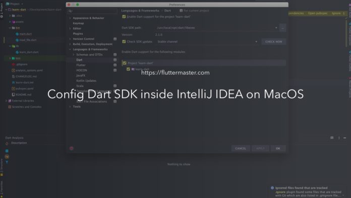 Config Dart SDK inside Intellij IDEA on MacOS